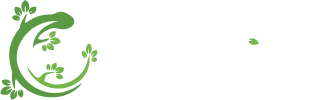 Lumberland.vn | Future Of Interior