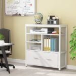 Tủ văn phòng mẫu 54 - Ảnh 2