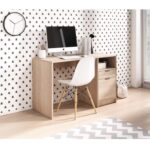 Bàn làm việc mẫu 12 - Ảnh 2