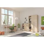 Tủ văn phòng mẫu 06 - Ảnh 3