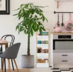 Tủ phòng tắm mẫu 16 - Image 2