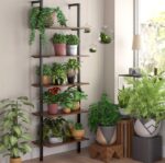 Tủ đồ trang trí phòng khách KTT43 - Ảnh 4