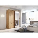 Tủ quần áo mẫu 45 - Ảnh 3